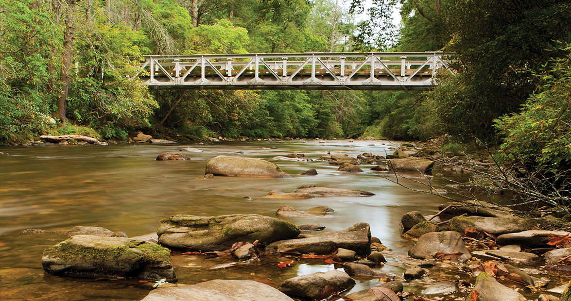 Hop, Skip, and Splash Your Way Through the Davidson River