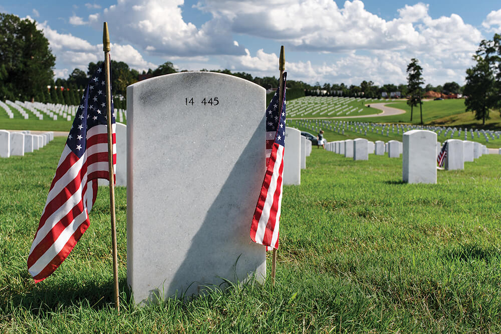 City Portrait: Salisbury