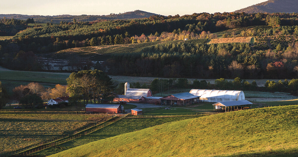 A New Beginning for Brush Creek Farm in Alleghany County