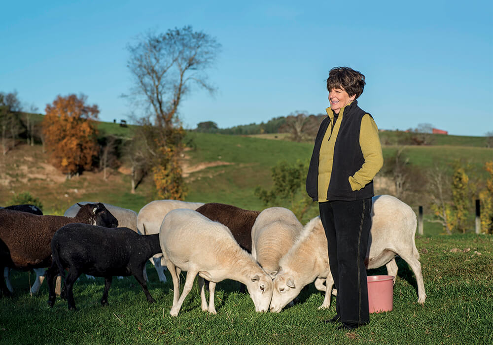 A New Beginning for Brush Creek Farm in Alleghany County