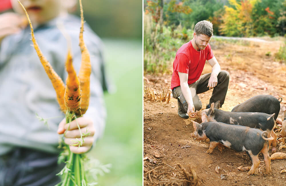 A Way of Life Farm Lives Up to Its Name