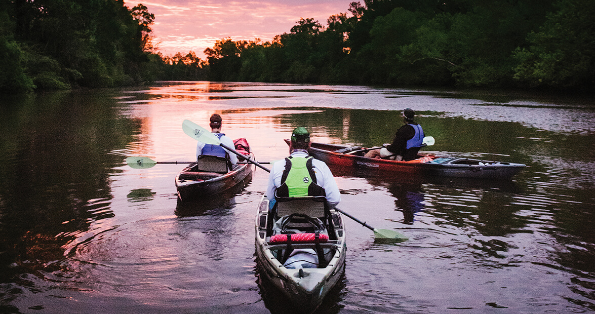 The November 2016 Issue