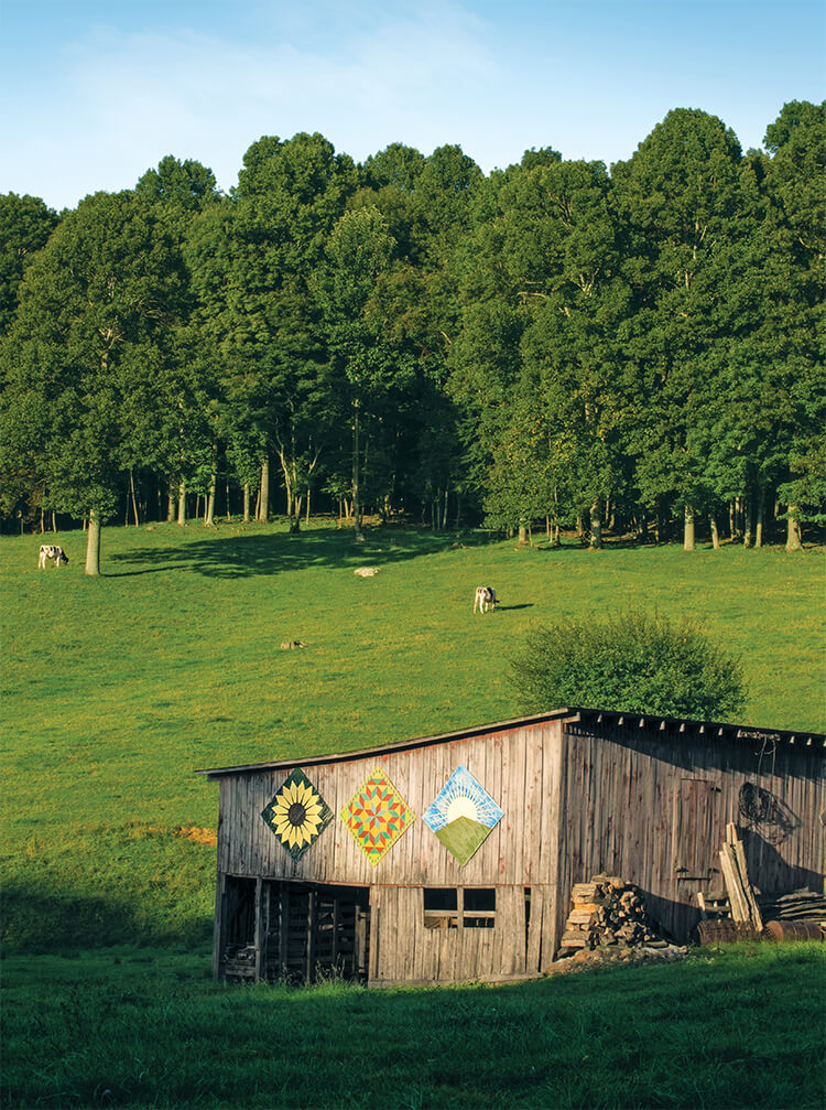 City Portrait: West Jefferson