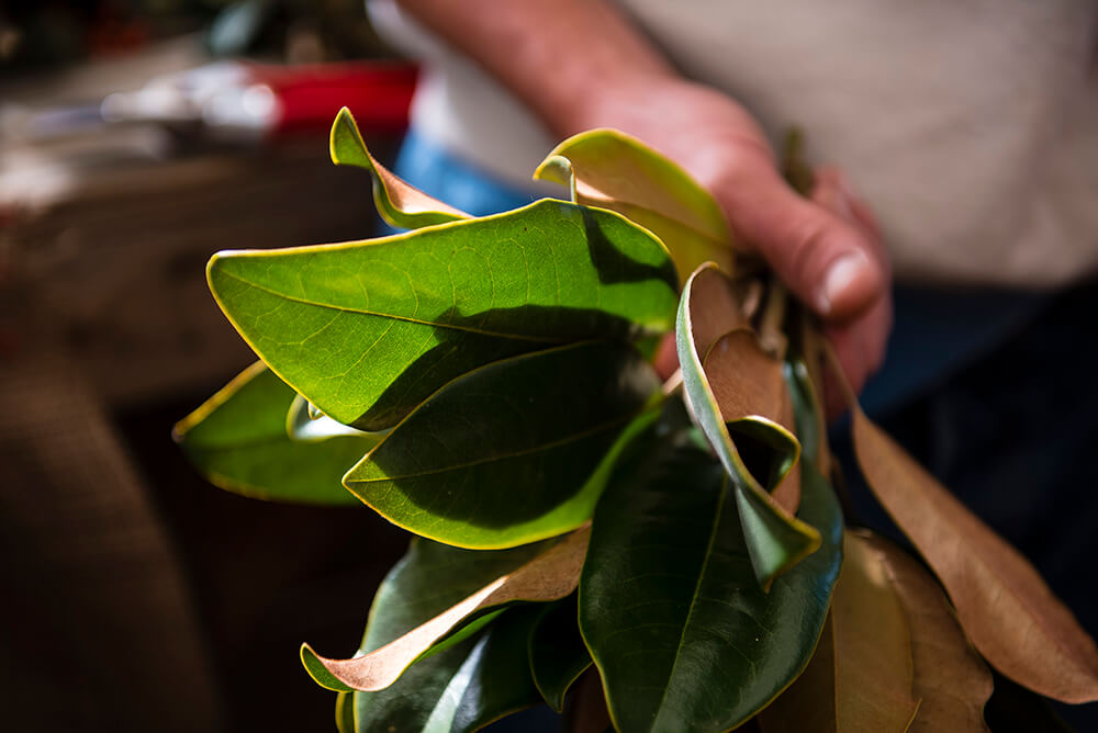 DIY: Make a Wreath Using Greenery from Your Own Backyard