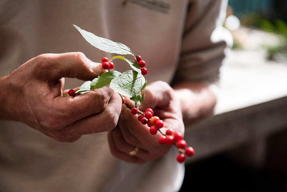 DIY: Make a Wreath Using Greenery from Your Own Backyard