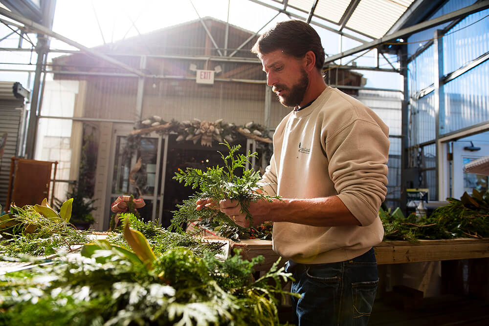 DIY: Make a Wreath Using Greenery from Your Own Backyard