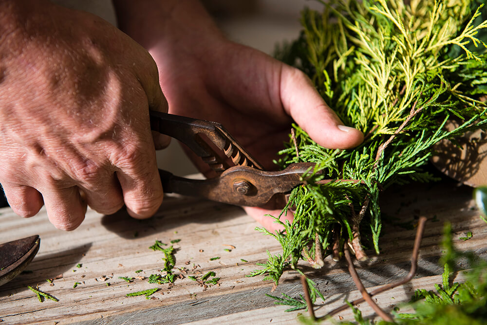DIY: Make a Wreath Using Greenery from Your Own Backyard