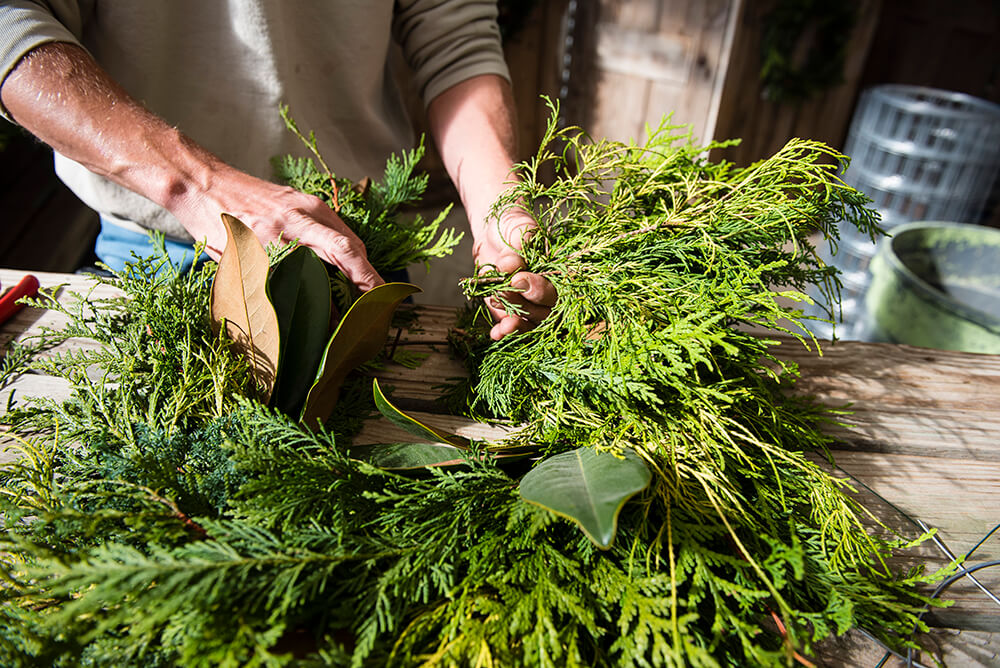 DIY: Make a Wreath Using Greenery from Your Own Backyard