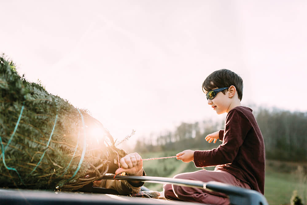 Photo Essay: In Pursuit of the Perfect Pine