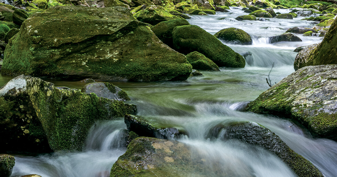Cherokee Stories Tell of Water's Wisdom