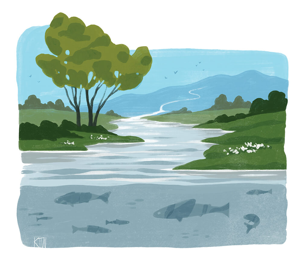 Cherokee Stories Tell of Water's Wisdom