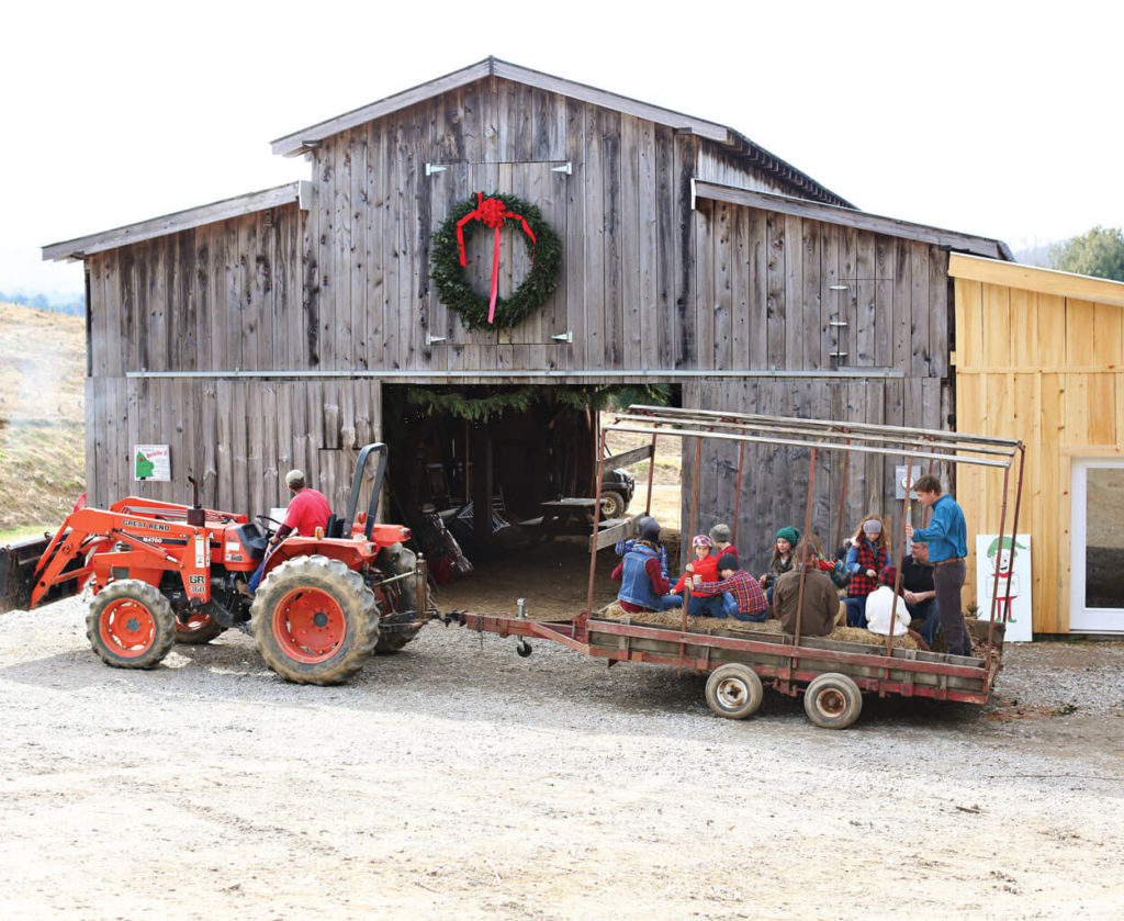 In Pursuit of the Perfect Pine: 5 North Carolina Christmas Tree Farms ...