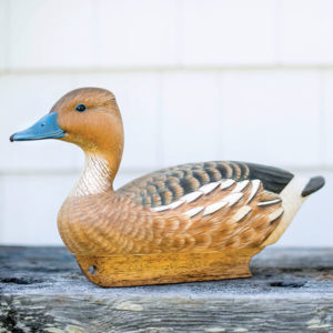walter-gaskill-duck