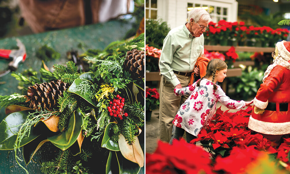 4 Family-Owned Garden Centers