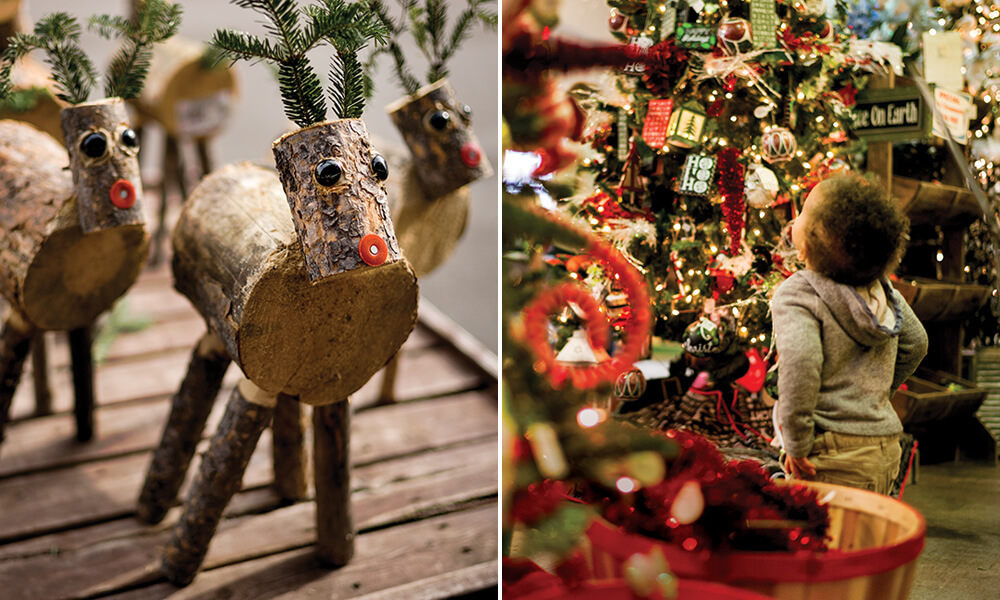 4 Family-Owned Garden Centers