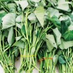 The World is For Sale at a Newton Flea Market