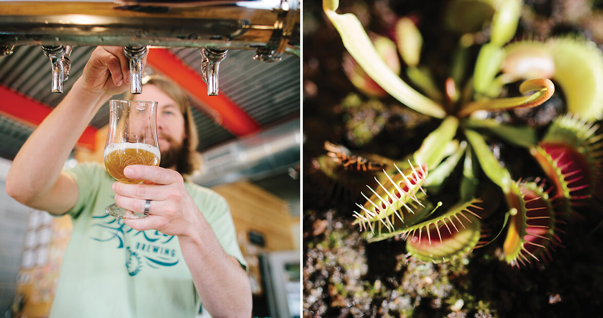 Flytrap Brewing in Wilmington Celebrates Coastal North Carolina