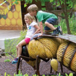 Come Face to Face with Wildlife in Asheboro, the Zoo City of North Carolina