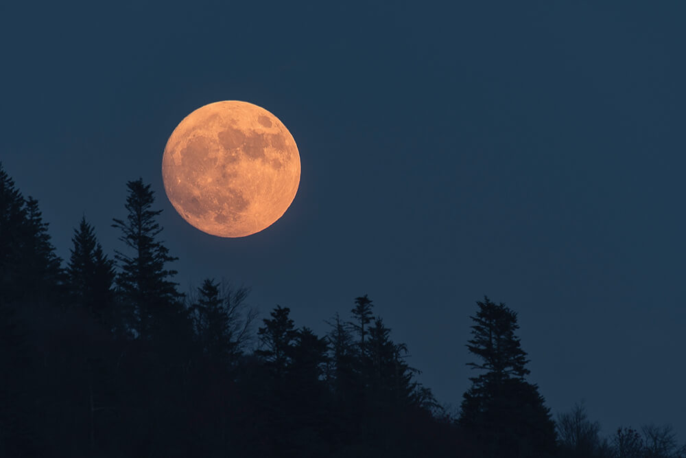 Photo Essay: A Look at the Full Carolina Moon