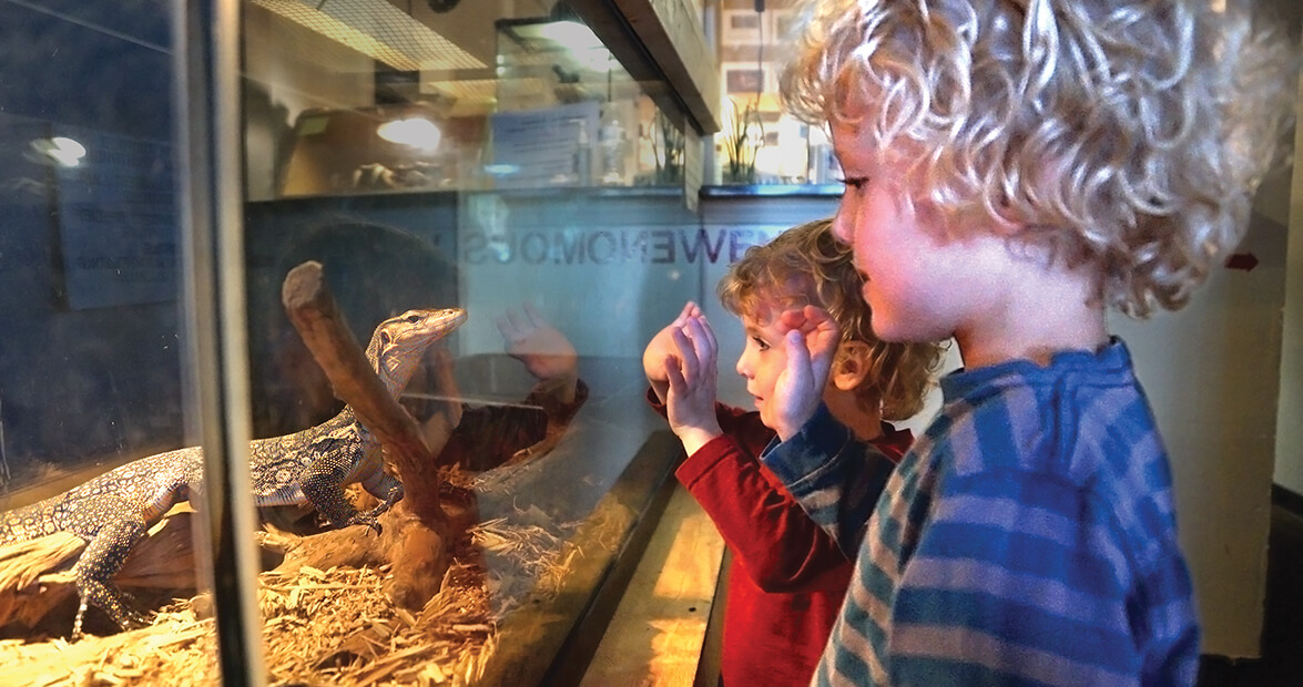 Family Tradition: A Trip to the Reptile Rescue Center