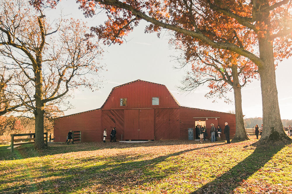 Backbones & Cornerstones: 100 Family Businesses That Built North Carolina