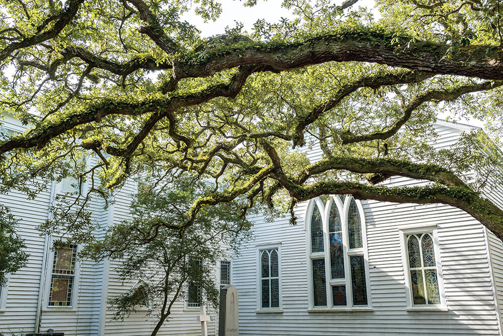 Photo Essay: Exploring Beaufort on Two Wheels