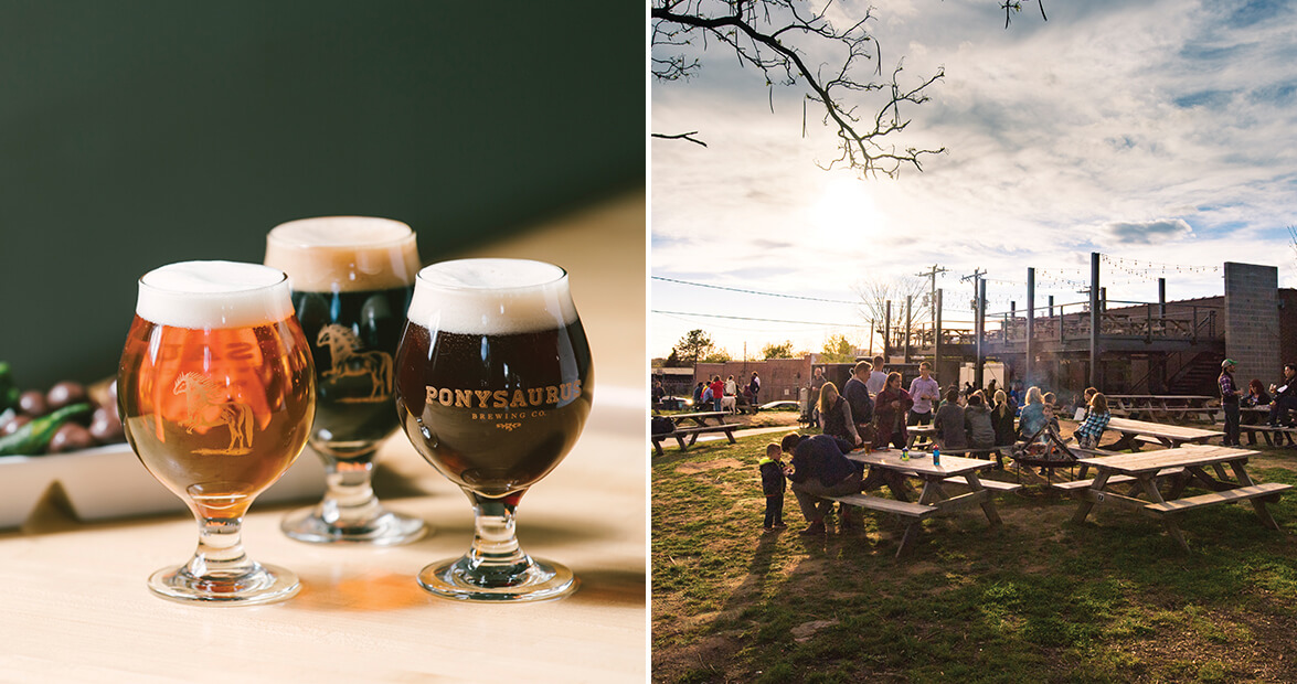 Backyard Brewery: A Look at Durham's Ponysaurus