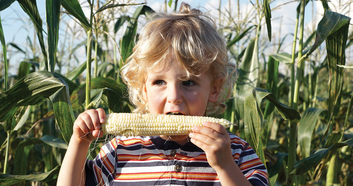 Family Tradition: Farm Fresh
