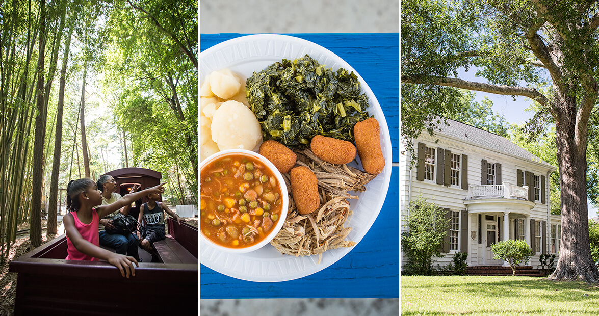 Like a Local: Williamston