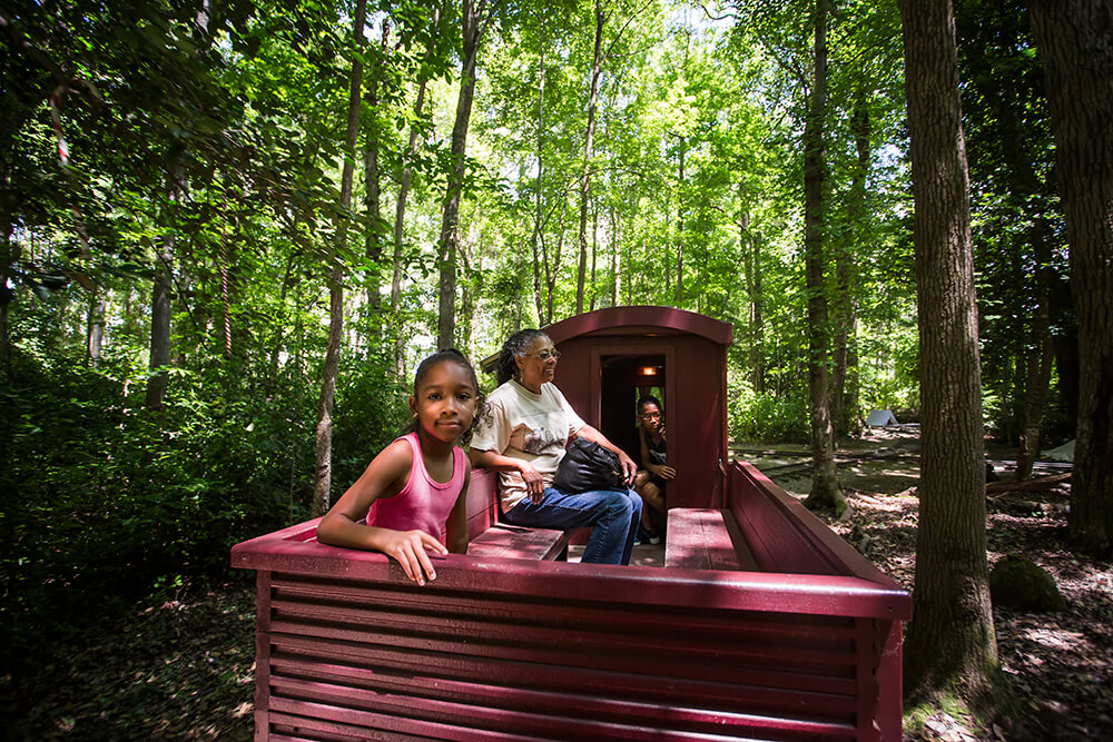 Like a Local: Williamston