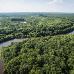 Like a Local: Williamston