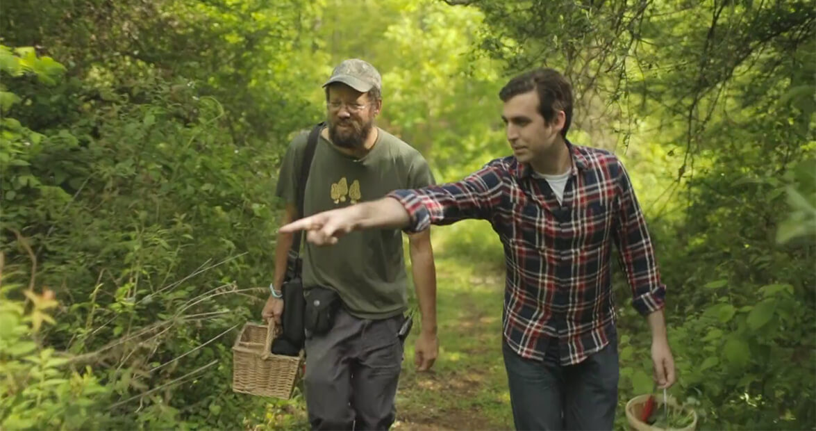 Best-Kept Secrets in Asheville: No Taste Like Home Wild Food Adventures