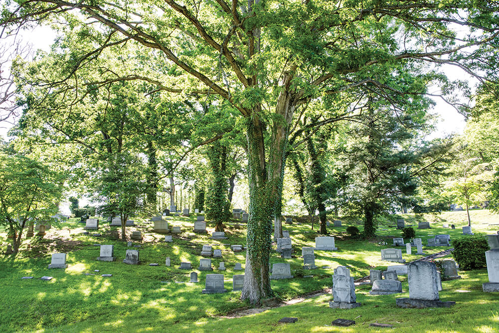 Photo Essay: Exploring Asheville's Montford Neighborhood