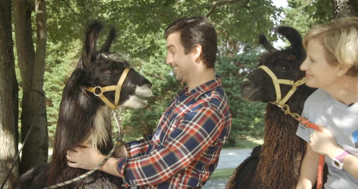 Best-Kept Secrets in the Triad: Divine Llama Vineyards