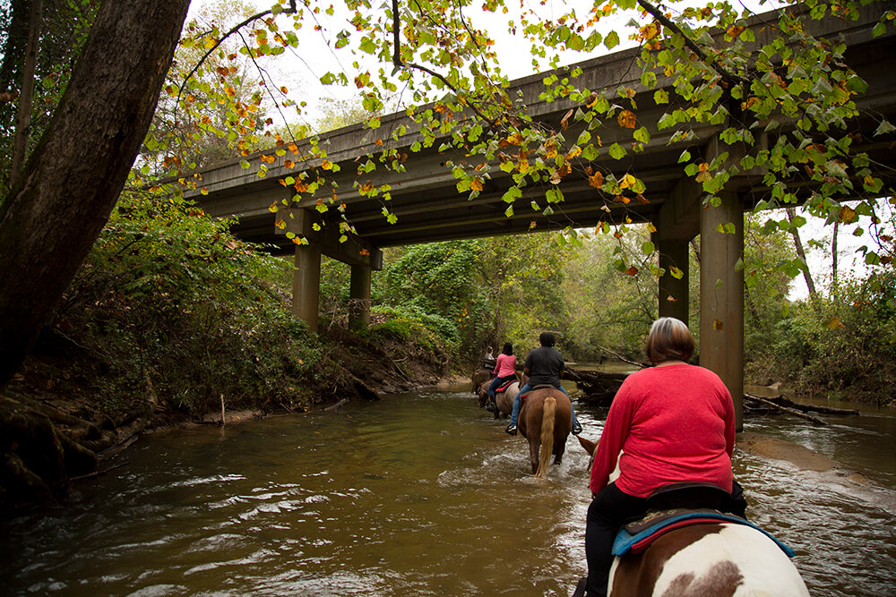 Like a Local: Forest City & Bostic