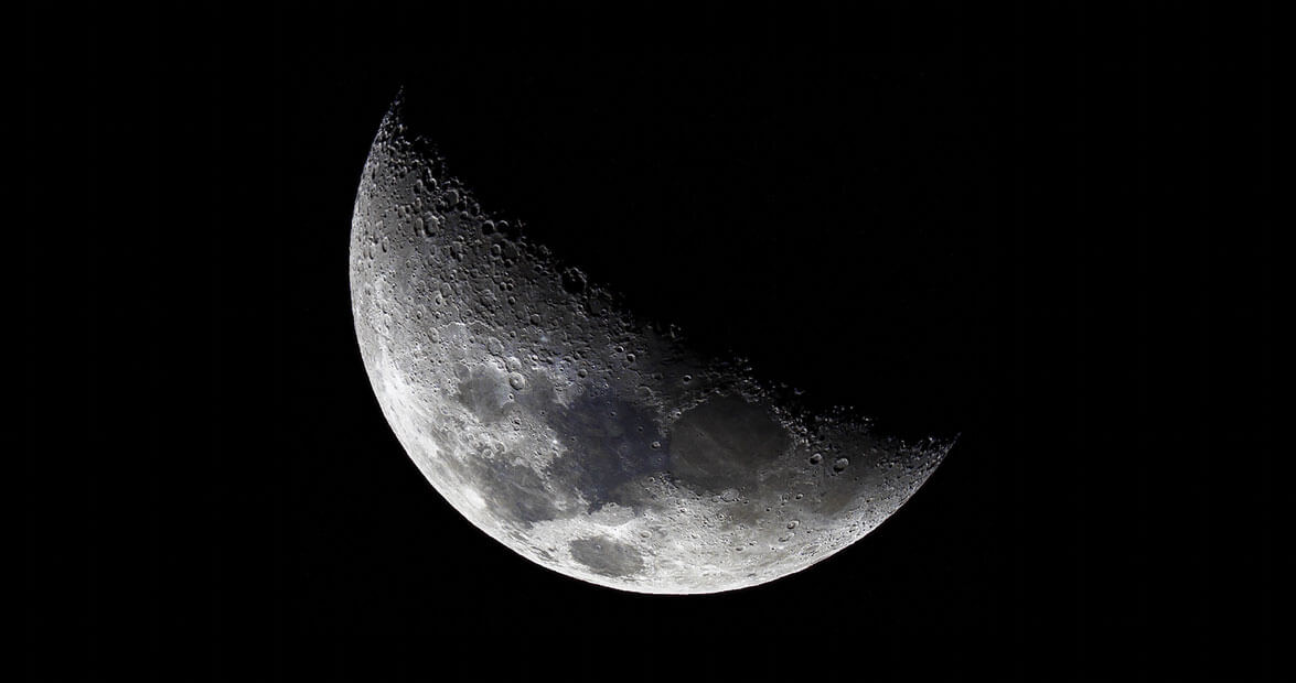 Space Seeds: Moon Trees in Western North Carolina | Our State