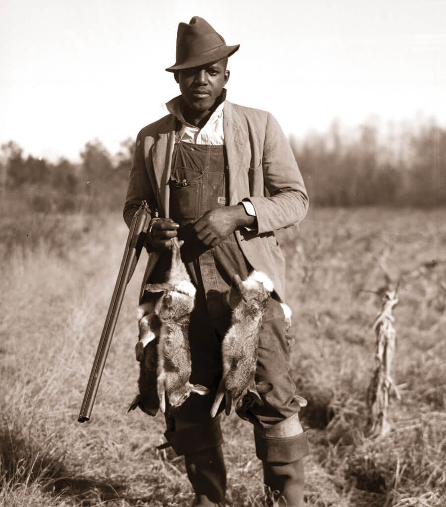 Chatham Rabbit ordered in New York City | North Carolina Hunting and ...