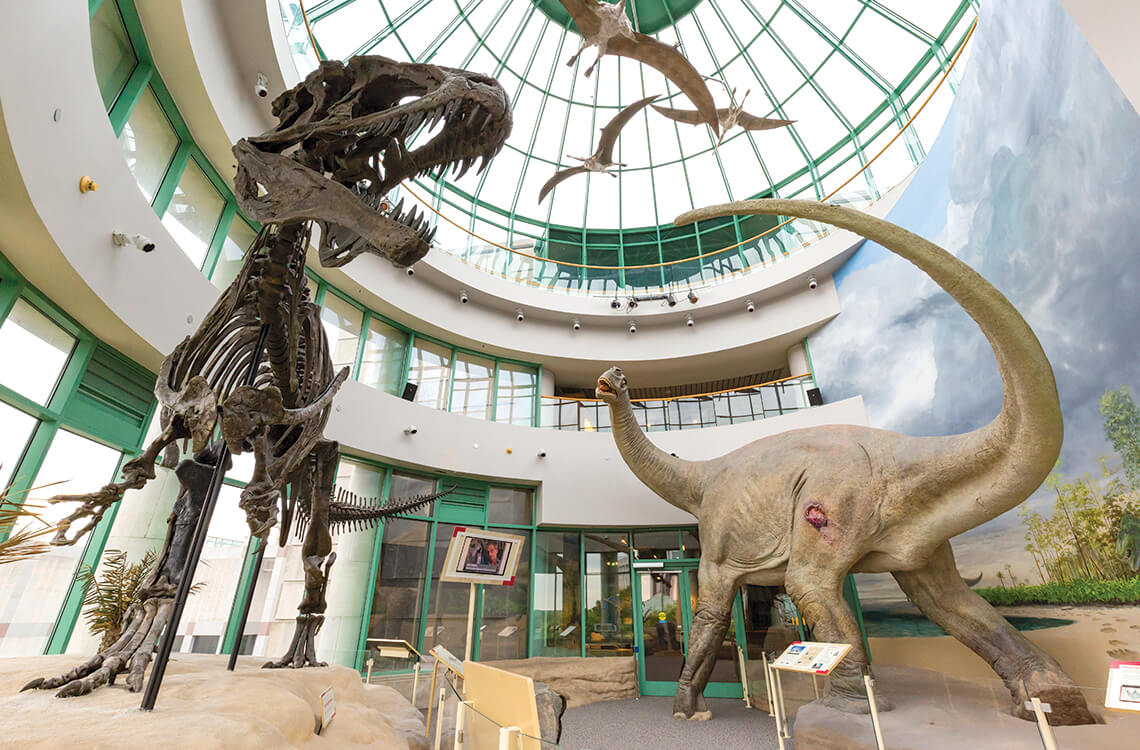 In the “Terror of the South” exhibit at the Museum of Natural Sciences, an Acrocanthosaurus (left) battles a sauropod while pterosaurs circle overhead.