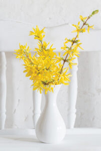 Yellows flowers in a white vase.