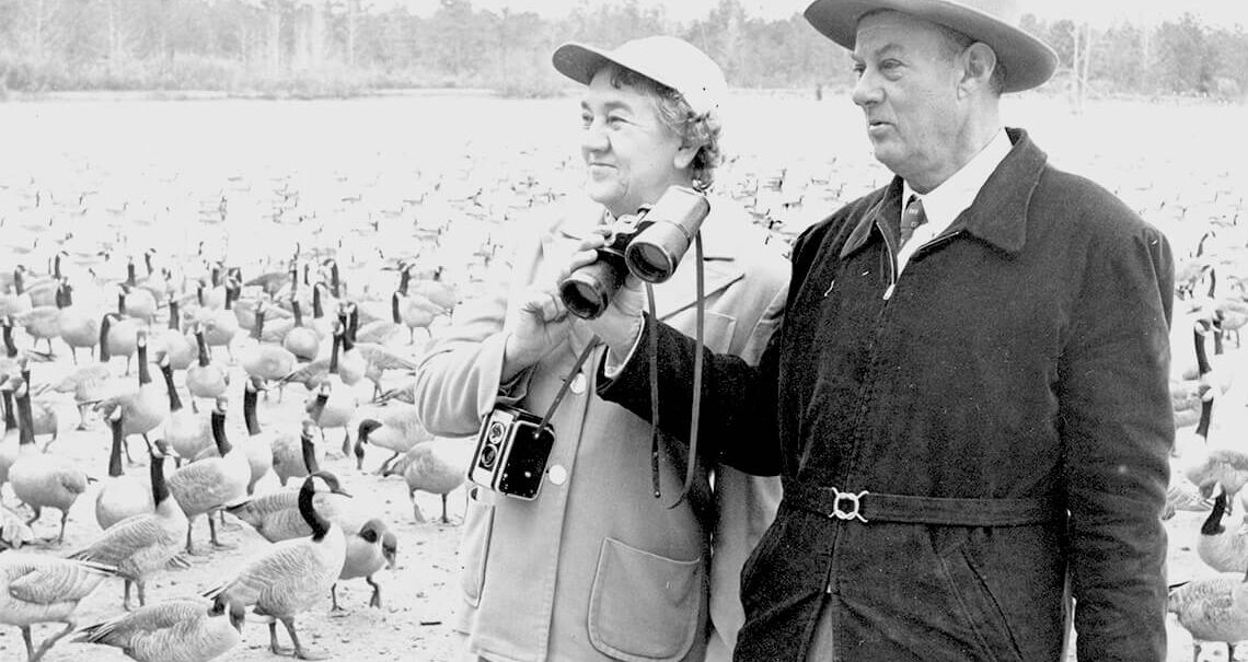 Hazel Gaddy and her husband stand surrounded by geese.