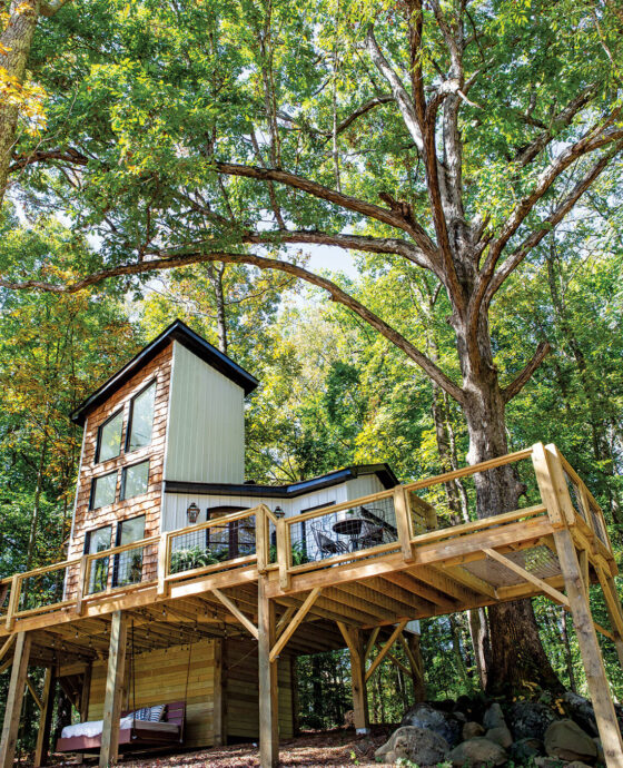 Outdoor photograph of The Carolina Treehouse.
