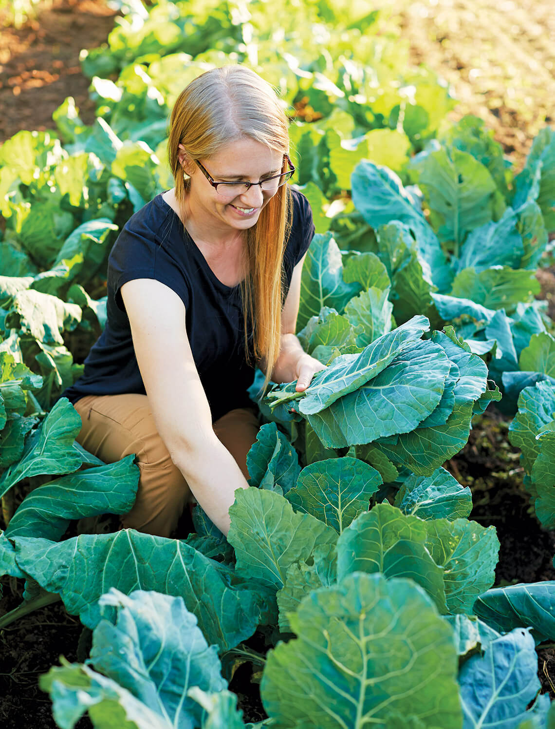 Woman kneels down to pick collards.
