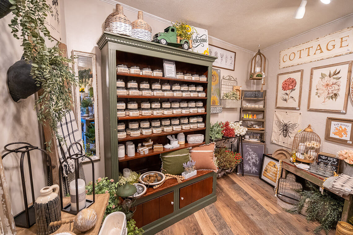 The Modern Deer in Waynesville