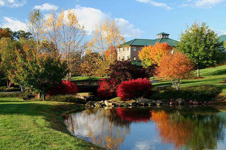 Shelton Vineyards Wine Weekend