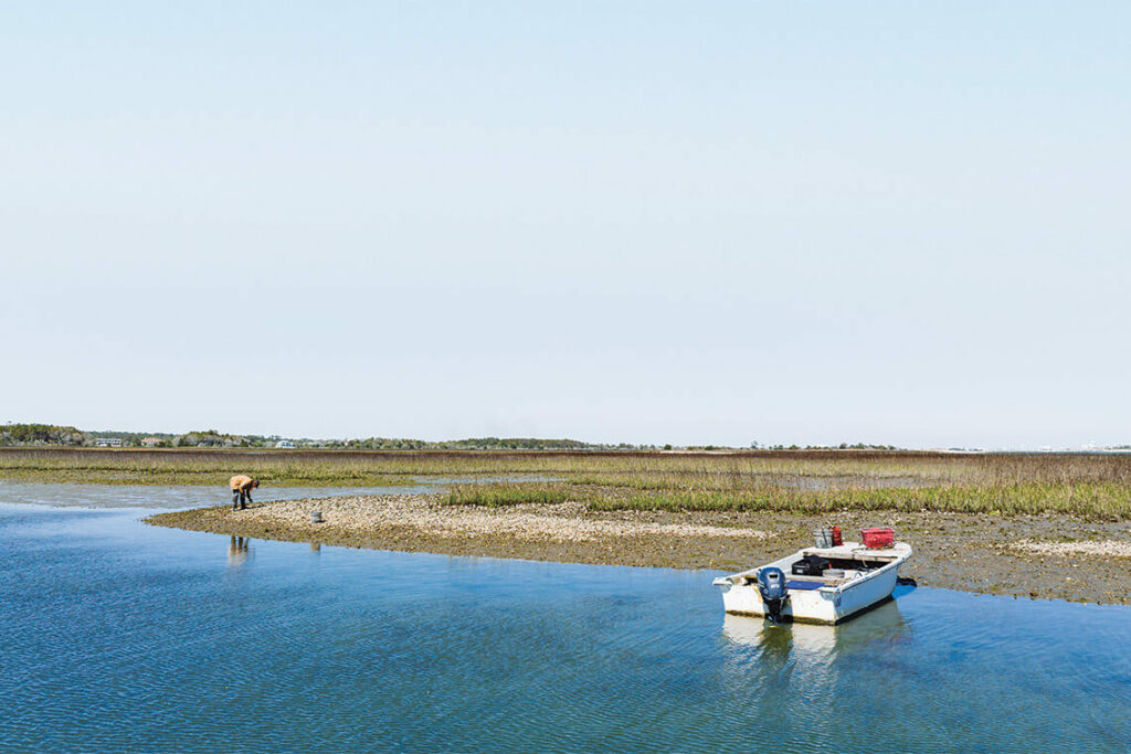 Shellfish Queen The Shellfish Queen of Wrightsville Beach | Our State