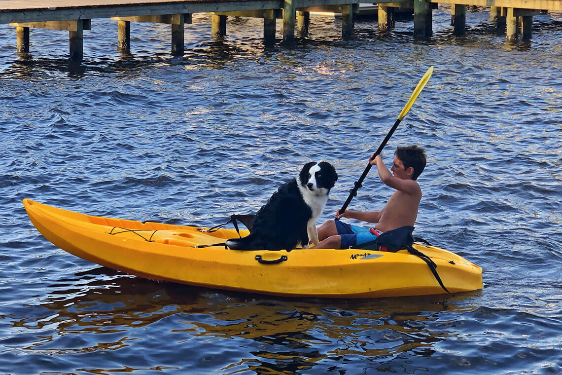 Person kayaking with a dog in the boat