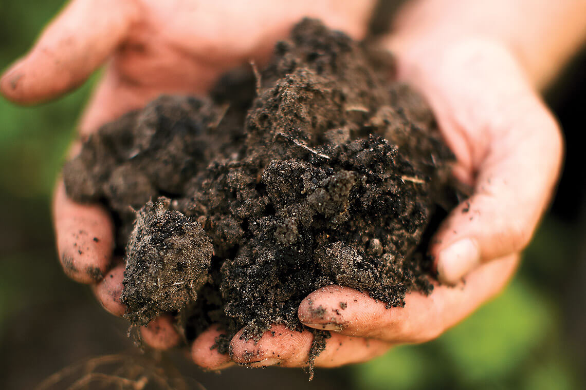 Hands hold North Carolina soil.