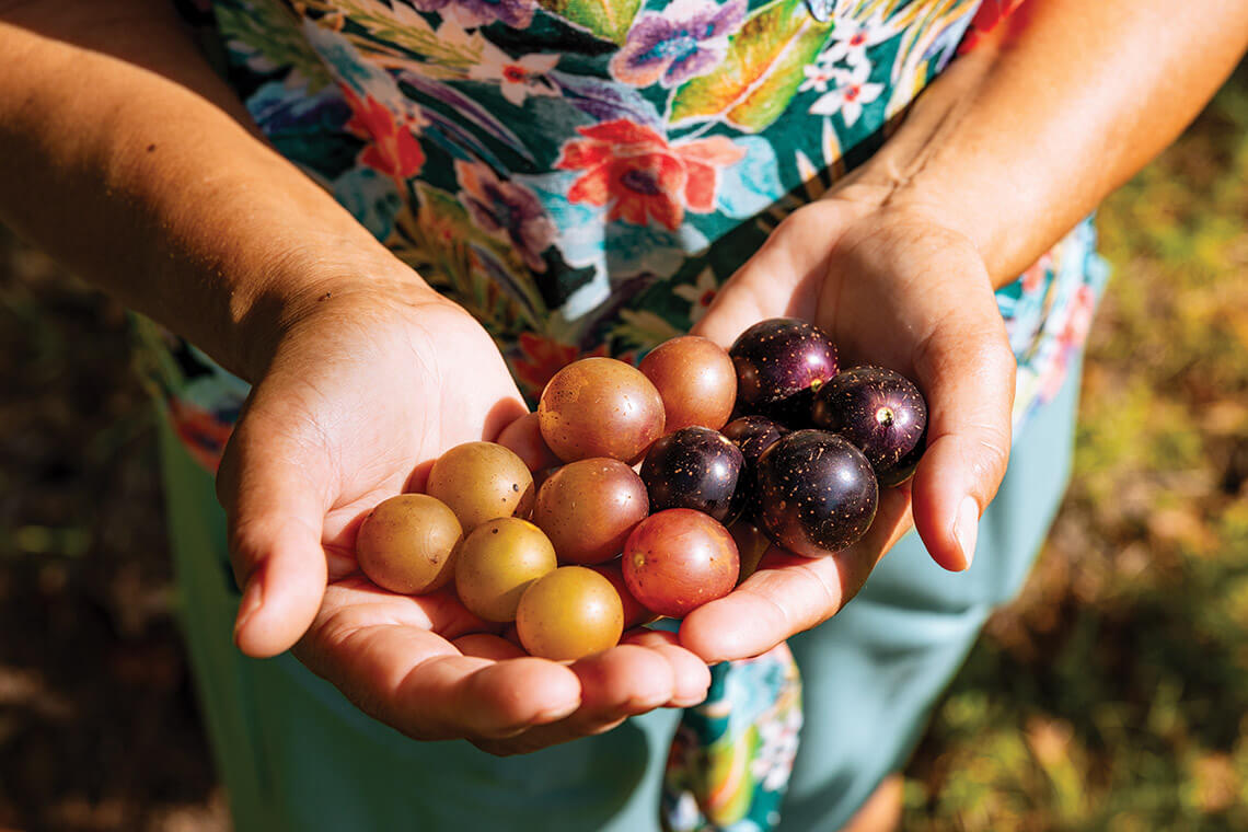 Connie Locklear holds muscadine grapes