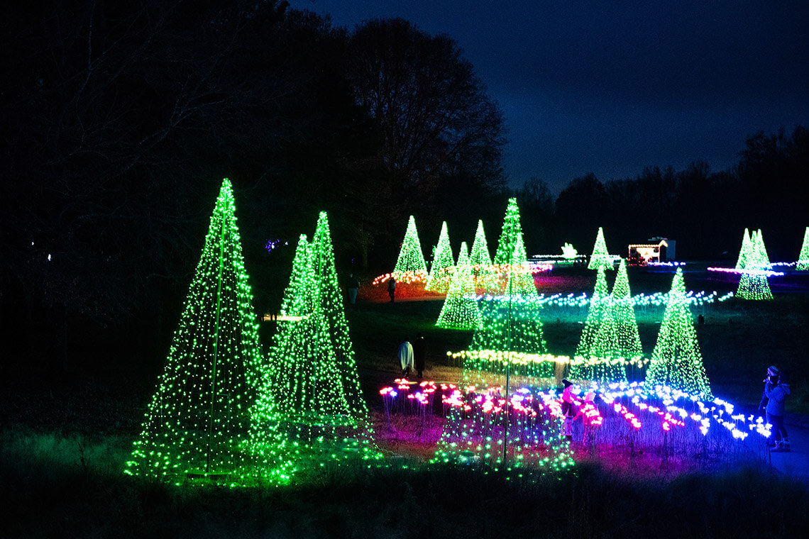 Illuminated Christmas Trees at Holidays at the Garden at the Daniel Stowes Botanical Garden.