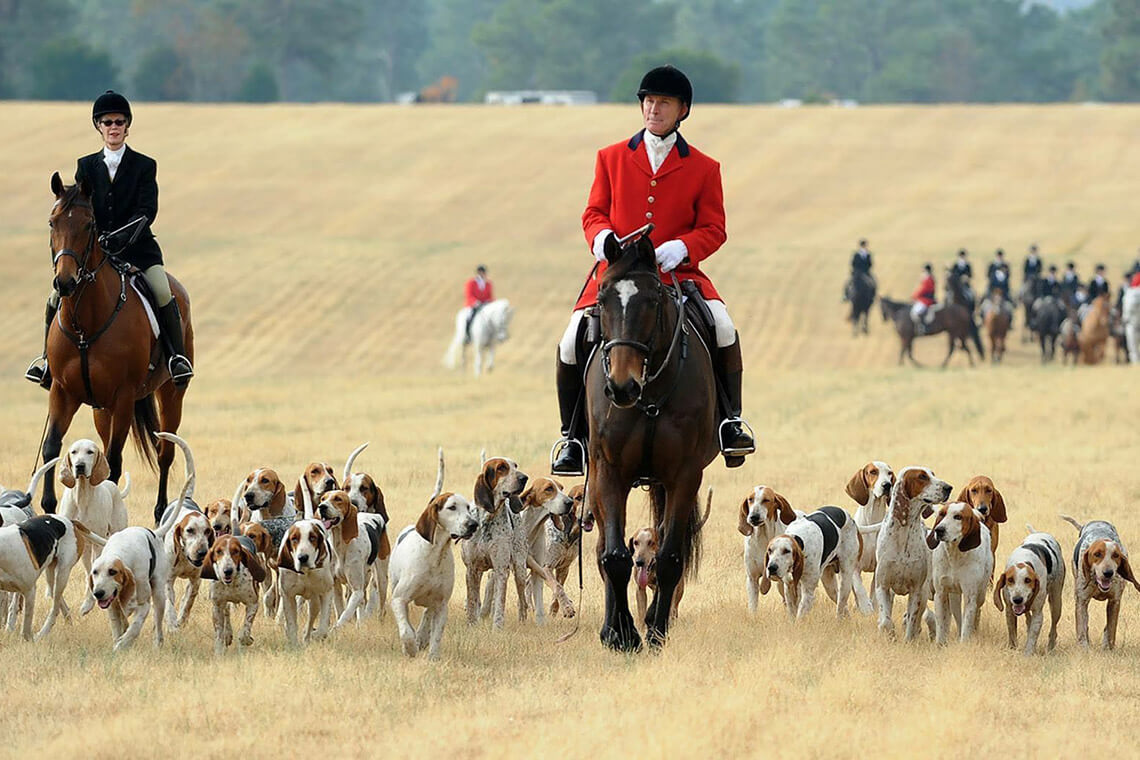 Every Thanksgiving Day morning, an Episocopal priest blesses hunters and hounds at Buchan Field in Southern Pines.